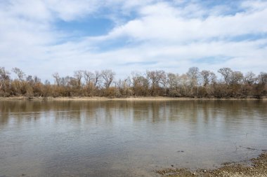 Baharda her türlü tatil için güzel renkli çiçekler. Güller, laleler.