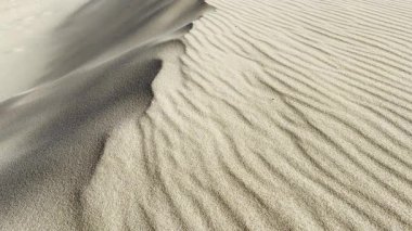 Kum tepeciğinin, kum ve rüzgar dokusuyla yatay görüntüsü, geniş kopya alanı ve Cadiz sahilinin doğal ortamı ile ferahlık ve özgürlük hissi..