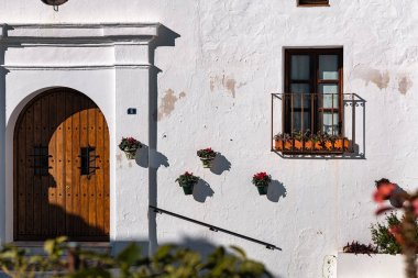 Ahşap kapı ve pencereli beyaz bir cephenin yatay bileşimi, dekoratif saksılar ve ön planda bulanık bitkiler, beyaz bir Endülüs köyünde sert bir öğle vakti ışığı.