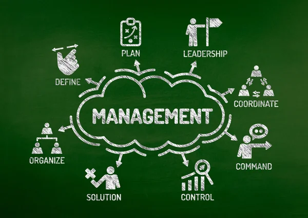 Management diagram med nyckelord — Stockfoto