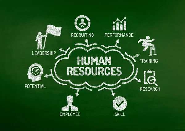Human Resources Chart — Stock Photo, Image