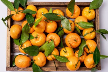 Tahta tepside taze taze mandalinalar Açık Mavi Arkaplan Üst Görünümü Yatay Yakın