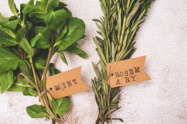 Gri Beton Arkaplanda Taze Yeşil Organik Nane Yaprağı ve Biberiye