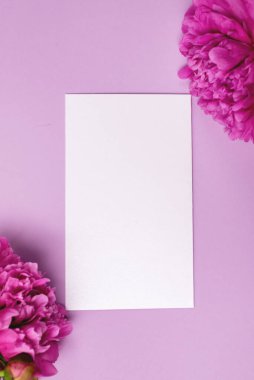 Minimal Stili Düz Pembe Şakayık çiçekleri ve beyaz boş yatıyordu Üst Görünümü Uygula