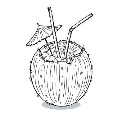 Kamış ve şemsiyeli bir hindistan cevizi çizimi. Doodle tarzı. Beyaz arkaplanda siyah ana hat izole edildi.
