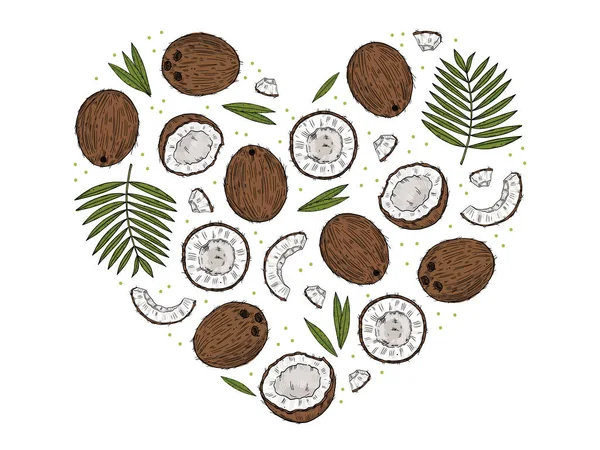 Набор Спелых Кокосовых Орехов Различных Форм Пальмовыми Листьями Цветной Рисунок — стоковый вектор