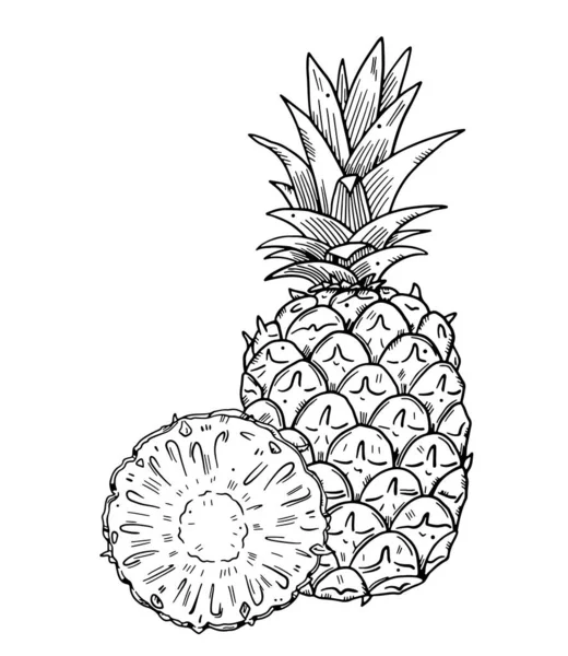 Arka planda bir ananas ve yarım dilim meyve kompozisyonu. Beyaz arkaplandaki siyah ana hatlı resim. Doodle tarzı..