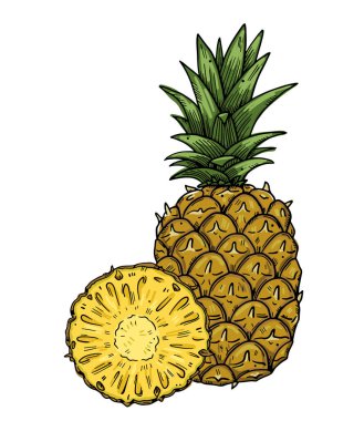 Arka planda bir ananas ve yarım dilim meyve kompozisyonu. Beyaz arkaplandaki renk resmi. Doodle tarzı..