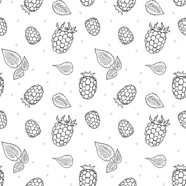 Ahududu böğürtlenlerinin siyah çizgileri ve pürüzsüz desenler. Basit karalama stili. Beyaz arkaplandaki izole nesneler.