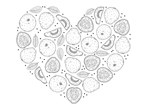 Серцеподібний Набір Ілюстрацій Плодів Гуави Різних Типів Листя Дерева Гуави — стоковий вектор