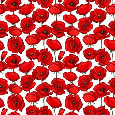 Botanik kusursuz desen. Tarla kırmızı gelinciklerle kaplı. Çiçekler farklı pozisyonlarda. Nesneler beyaz arka planda izole edilir. Sevimli karalama stili.