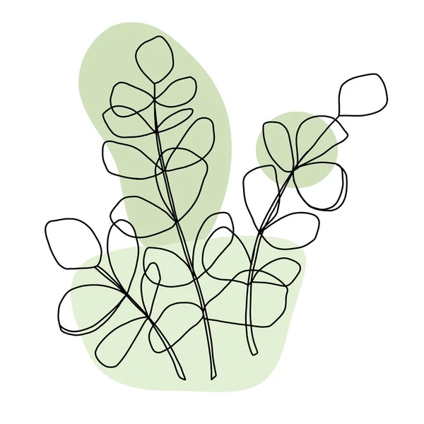 Växter dras med en linje. Illustration av flera grenar av eukalyptus. — Stock vektor