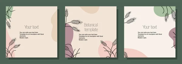 Illustrazione serie botanica di modelli quadrati per cartoline, cartoline, posizionamento del testo. Stile moderno minimalista. Vettoriali Stock Royalty Free