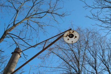 Ampulsüz eski bir sokak lambasının çıplak ağaç dallarına bakan alt manzarası.