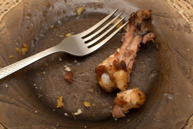 tavuk kemiği bir plaka üzerinde