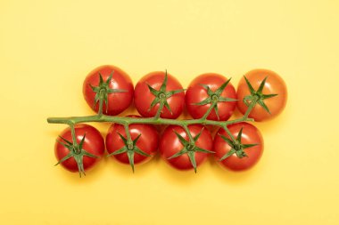 Sarı arka planda yeşil dallı kırmızı kiraz domatesleri