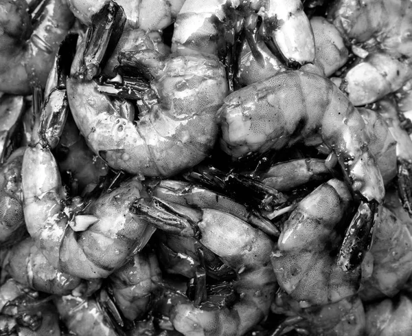 Salamurada karides. Karides kızartma için hazır.