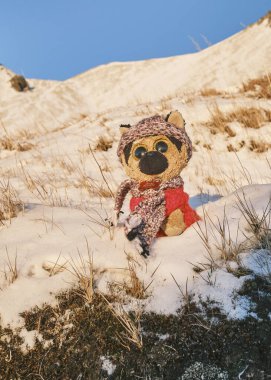 Karda ayı var. Ayı. Ormandaki ayı. Kış ayısı Ayılar yolda. Ayı.