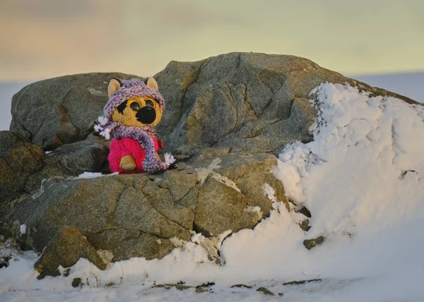 Pembe eşarplı küçük bir oyuncak ayı ve dağın tepesinde oturan bir şapka. Küçük bir ayı açık havada oturur.