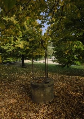 Parkın güzel manzarası