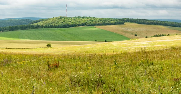 Estate nei campi del Bashkortostan — Foto Stock