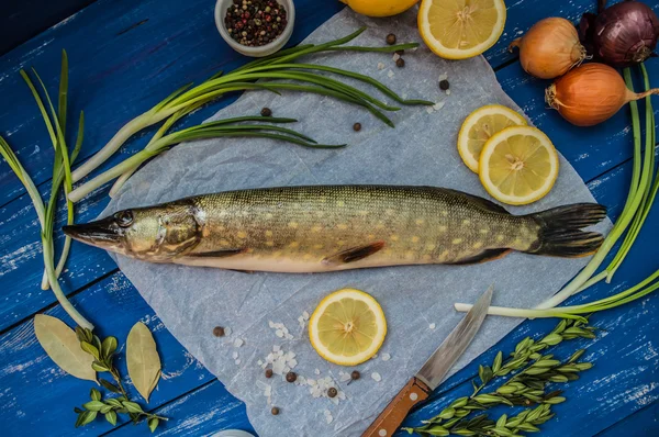 Brochet frais avec des épices et des verts sur du parchemin blanc. Fond noir en bois — Photo