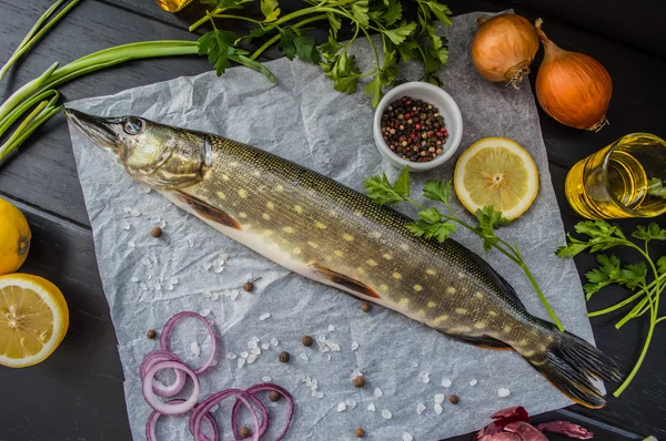 Pique fresco com especiarias e verduras em pergaminho branco. Fundo preto de madeira — Fotografia de Stock