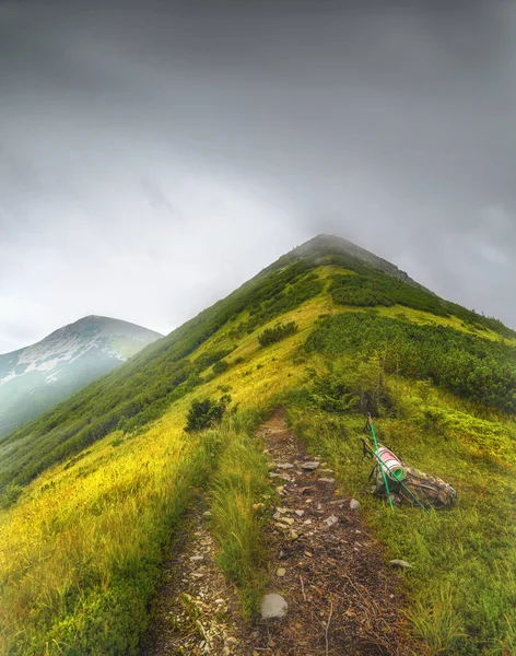 Bjerglandskab med sti og grøn eng og skov, Velyka Syvulya bjerg, Karpaty, Ukraine Royaltyfrie stock-billeder