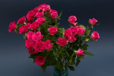 Stüdyo fotoğrafı koyu mavi zemin üzerine gül buketi