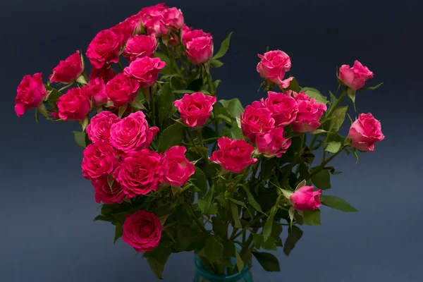 Bouquet of roses on a dark blue background photographed in the studio — Stock Photo, Image