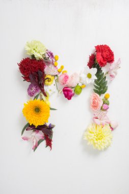 Mektup çiçekleri oluşur. Çiçek alfabesi