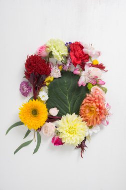 Mektup çiçekleri oluşur. Çiçek alfabesi