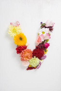 Mektup çiçekleri oluşur. Çiçek alfabesi