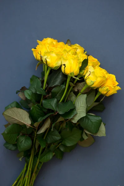 Gelbe Rosen auf graublauem Hintergrund — Stockfoto