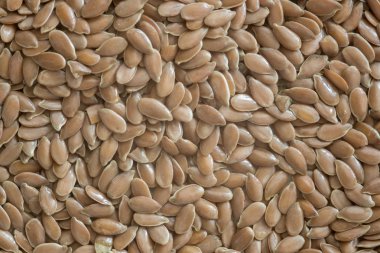 keten tohumu yakın çekim filme arka plan