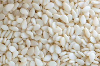 arka plan susam yakın çekim shot