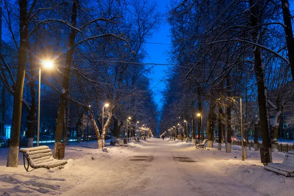 Winter alley with lanterns and benches — Stock Photo, Image