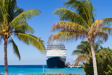Cruise gemi ve grand Turk, palmiyeler