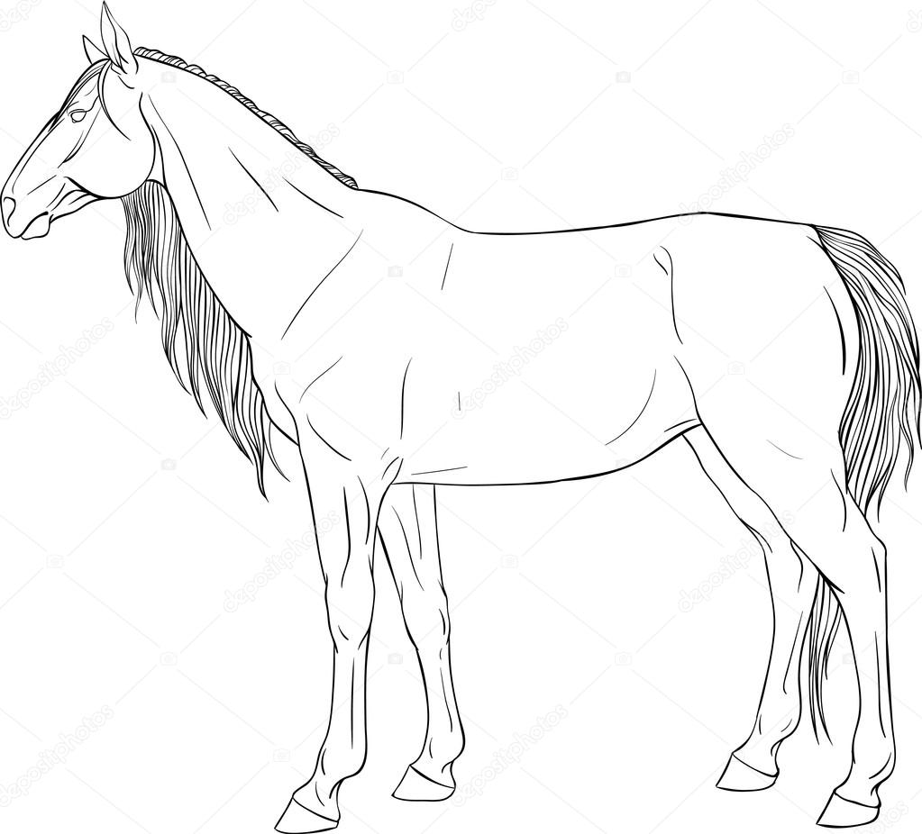 Libro da colorare con il cavallo con la bella criniera — Vettoriali di Gvozdakart Trova immagini simili
