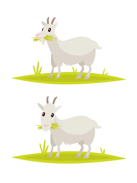 Забавный набор коз. Векторная иллюстрация — стоковый вектор