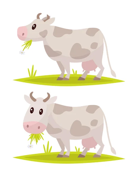 Buffo set di mucche. Illustrazione vettoriale — Vettoriale Stock
