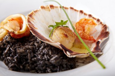 Bir kabuk beyaz bir arka plan üzerinde siyah risotto deniz ürünleri ile hizmet