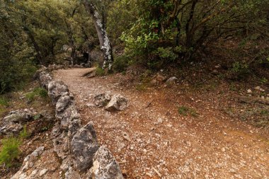 Alcoy, İspanya 'daki Yazı Tipi Roja Doğal Parkı' ndaki izleri kayalar engellerdi.