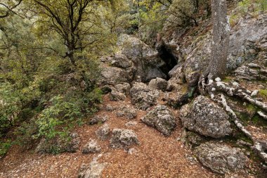 Yazı tipi Roja Doğal Parkı 'ndaki Cova Gelada mağarasına giriş, Alcoy, İspanya