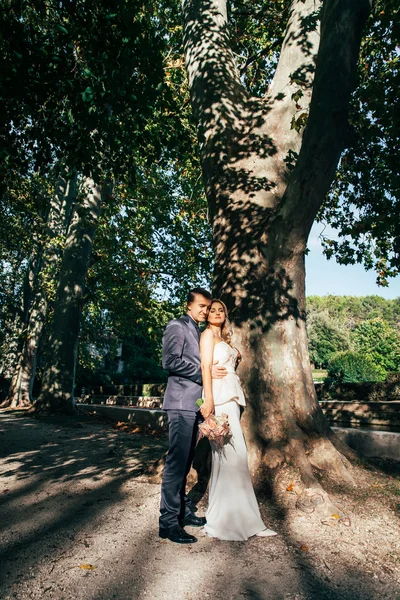 Casamento elegante casal — Fotografia de Stock