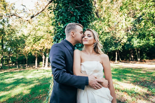 Casamento elegante casal — Fotografia de Stock