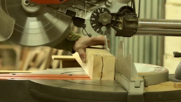 Scie circulaire découpe du bois dans un atelier de menuiserie — Video