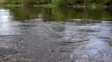 nehrin akışı