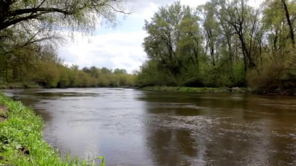 ruisseau sur la rivière 