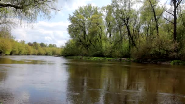 ruisseau sur la rivière 